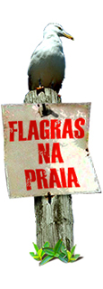 Flagras na praia